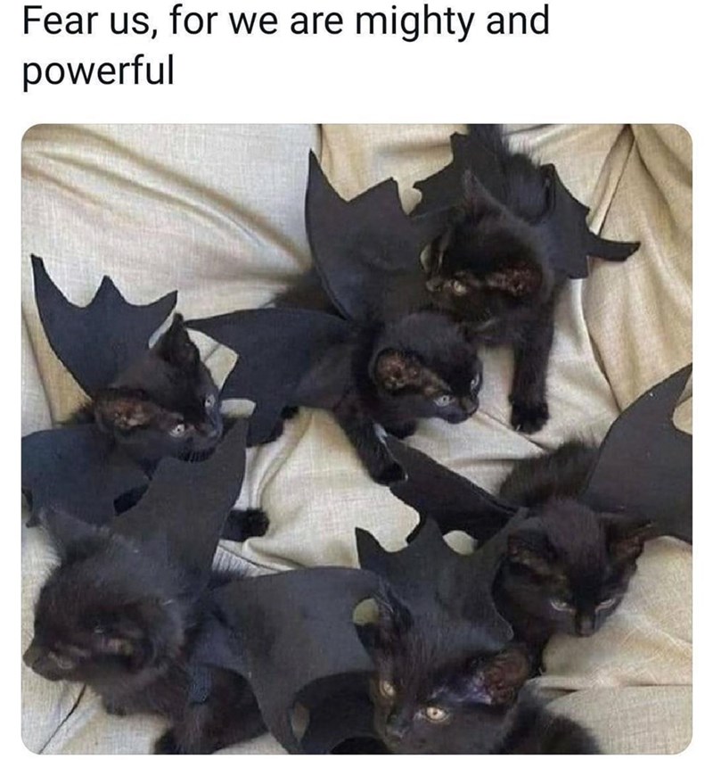 Fear us, for we are powerful mighty and