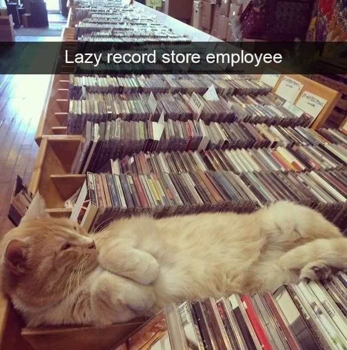 Lazy record store employee