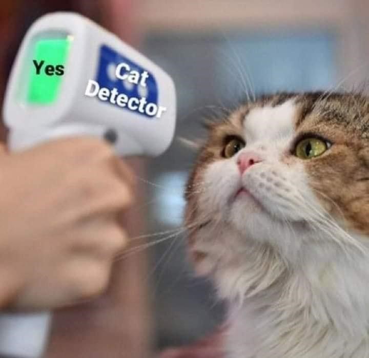 Yes Cat Detector