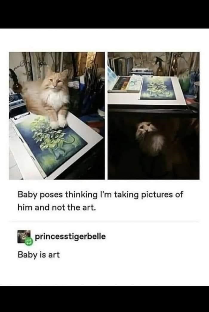Baby poses thinking I'm taking pictures of him and not the art. princesstigerbelle Baby is art
