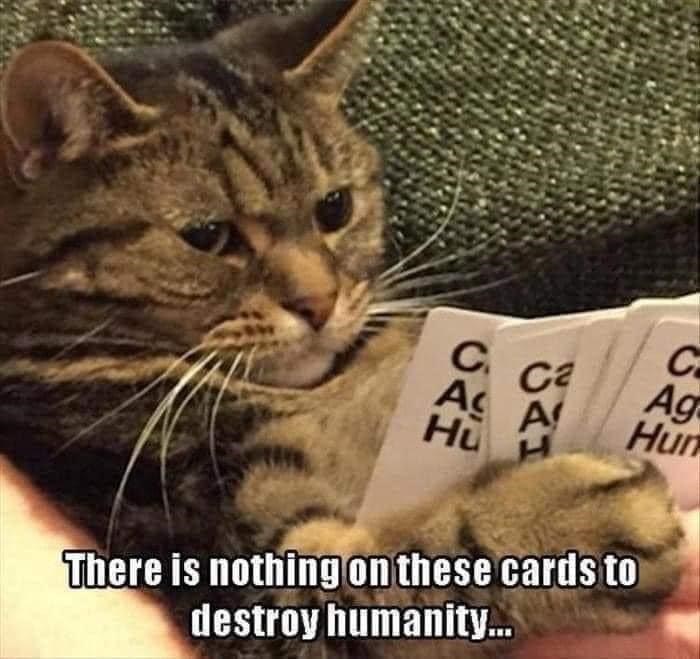 C C Ca Ag A A Hun Hu H There is nothing on these cards to destroy humanity...