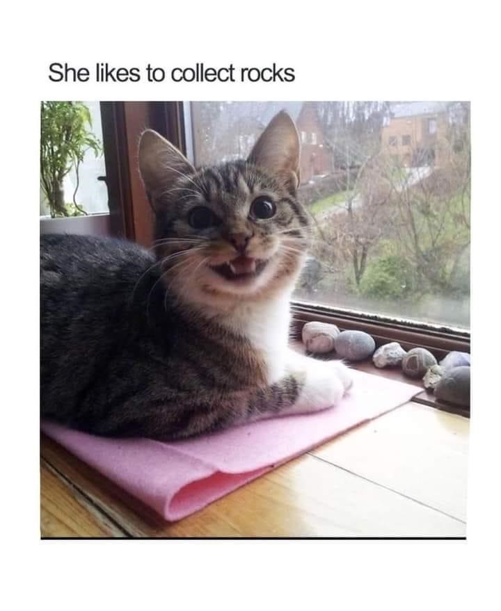 She likes to collect rocks