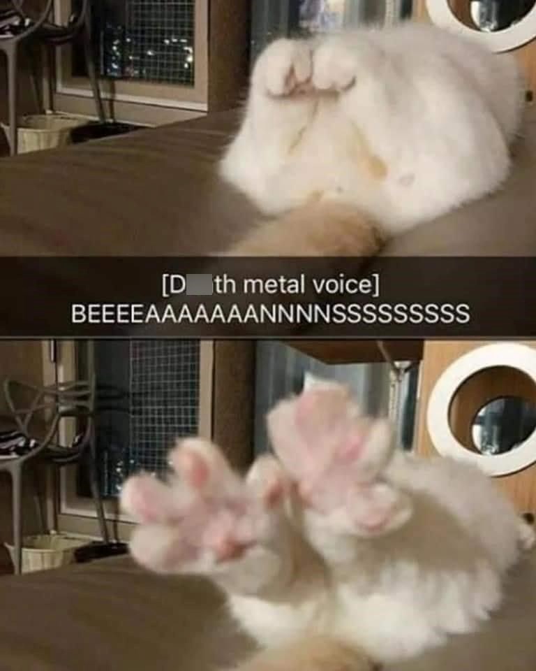 [Death metal voice] BEEEEAAAAAAANNNNSSSSSSSSS