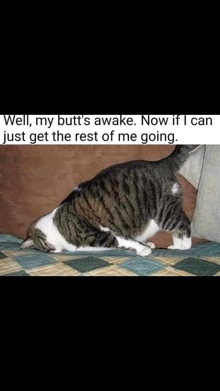 Well, my butt's awake. Now if I can just get the rest of me going.