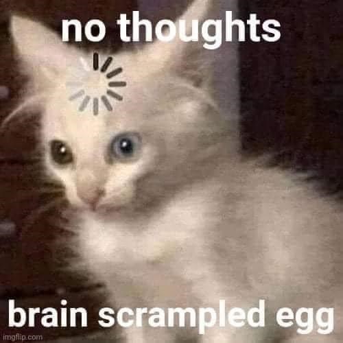 no thoughts brain scrampled egg imgflip.com