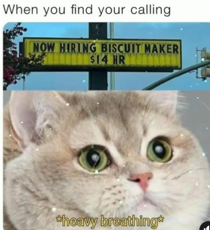 When you find your calling NOW HIRING BISCUIT MAKER DONOR $14 HR $14 HR *heavy breathing*