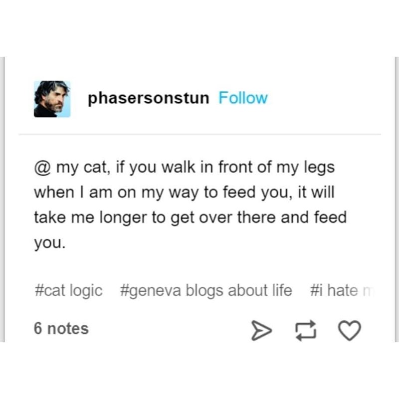 phasersonstun Follow @ my cat, if you walk in front of my legs. when I am on my way to feed you, it will take me longer to get over there and feed you. #cat logic #geneva blogs about life #i hate m 6 notes > 13