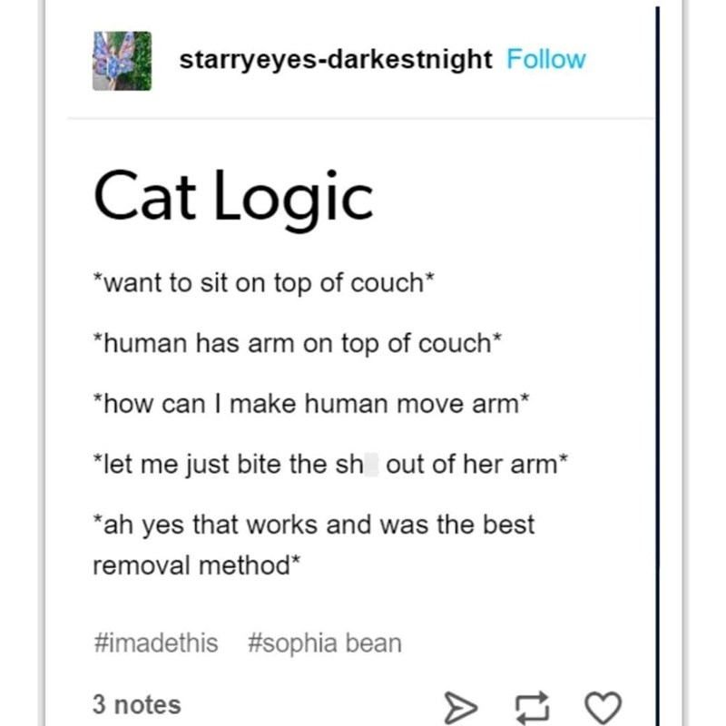 starryeyes-darkestnight Follow Cat Logic *want to sit on top of couch* *human has arm on top of couch* *how can I make human move arm* *let me just bite the sh out of her arm* *ah yes that works and was the best removal method* #imadethis #sophia bean 3 notes A 17 3