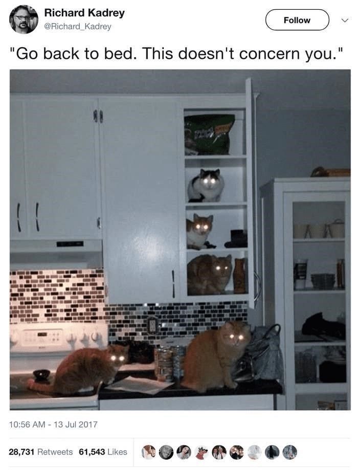 Richard Kadrey @Richard_Kadrey Follow "Go back to bed. This doesn't concern you." 10:56 AM - 13 Jul 2017 28,731 Retweets 61,543 Likes