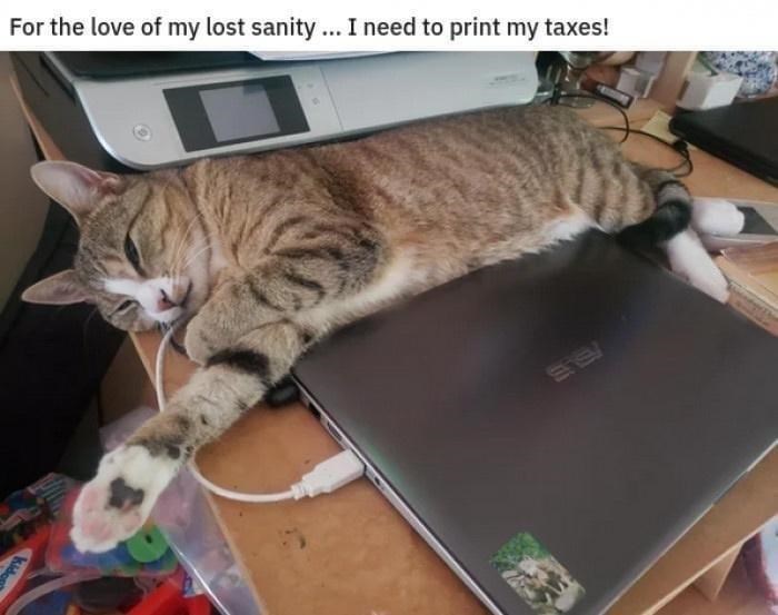 For the love of my lost sanity... I need to print my taxes! Kido