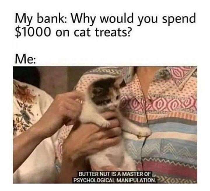 My bank: Why would you spend $1000 on cat treats? Me: BUTTER NUT IS A MASTER OF PSYCHOLOGICAL MANIPULATION.