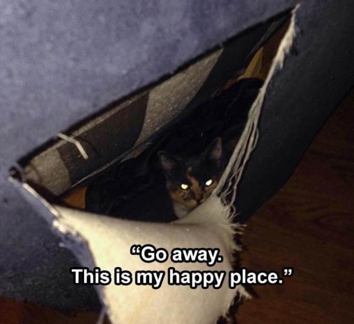 "Go away. This is my happy place."