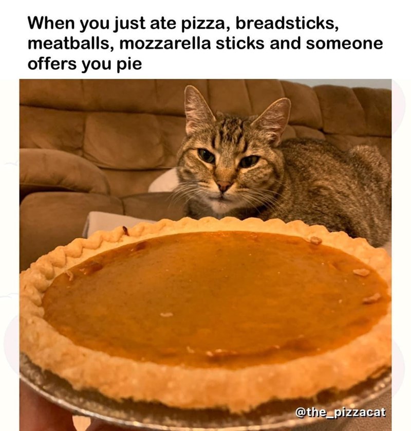 When you just ate pizza, breadsticks, meatballs, mozzarella sticks and someone offers you pie @the_pizzacat