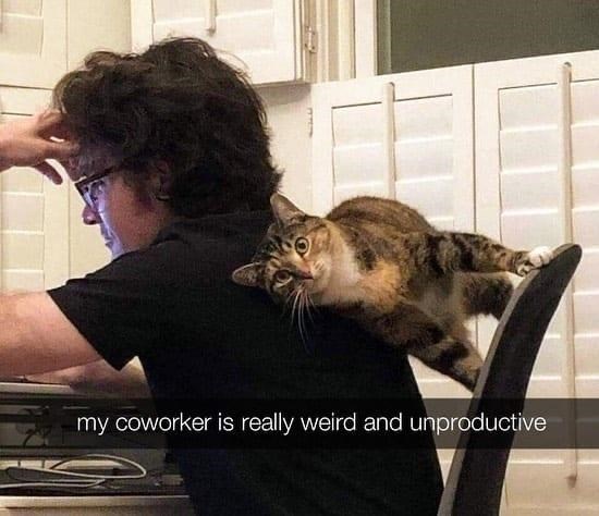 my coworker is really weird and unproductive