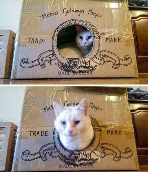 Metro Goldwyn Mayer TRADE MADE IN AMARTE MARK Goldw Met Mayer TRADE MARK MADE IN CHINA