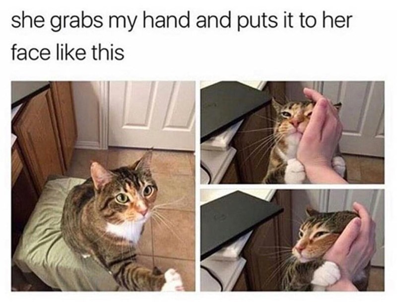 she grabs my hand and puts it to her face like this