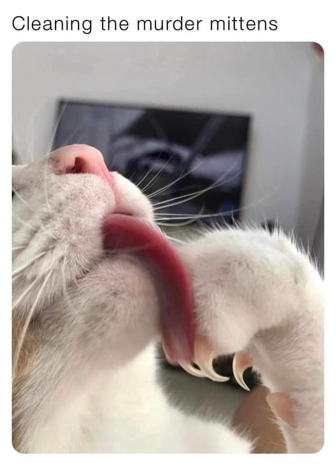 Cleaning the murder mittens