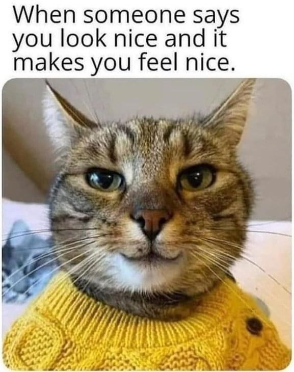 When someone says you look nice and it makes you feel nice.