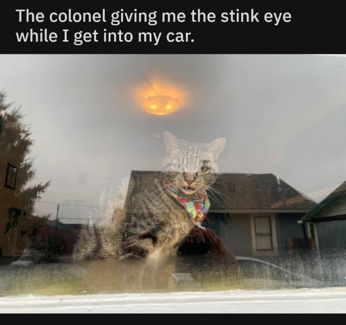The colonel giving me the stink eye while I get into my car.