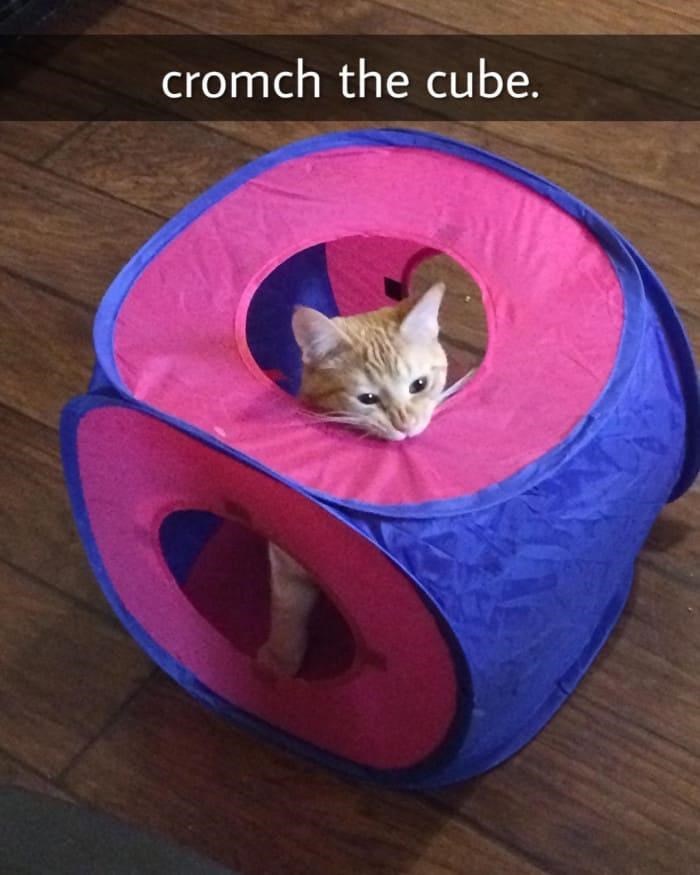 cromch the cube.