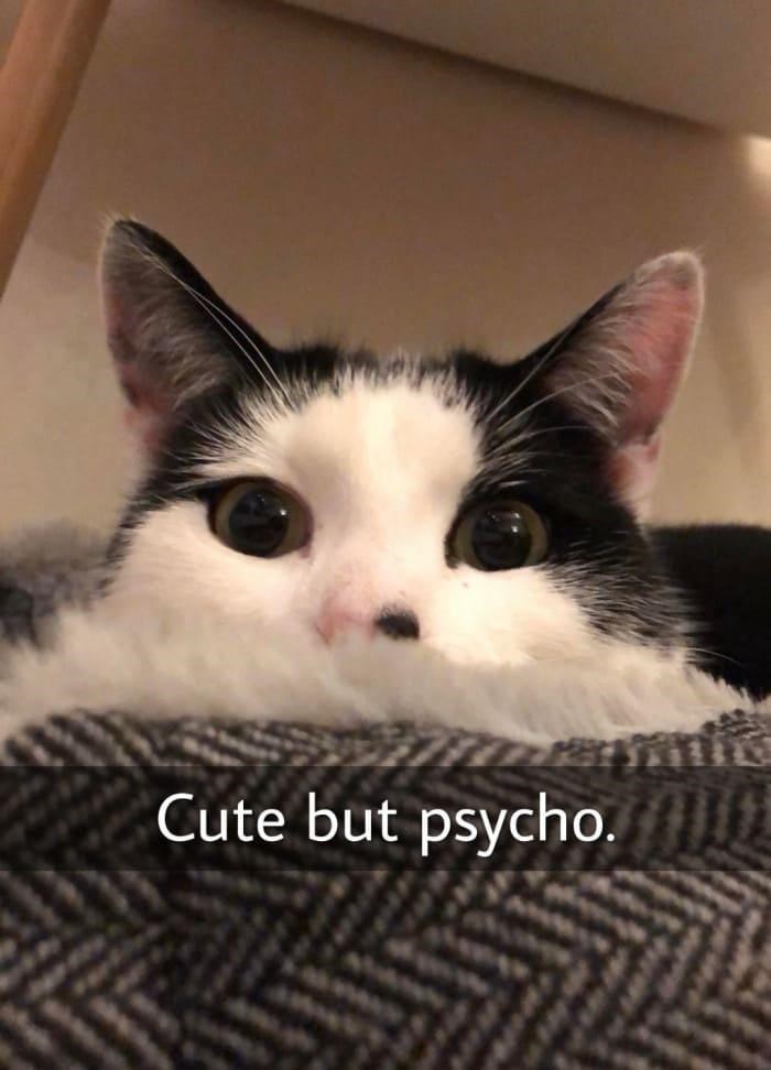 Cute but psycho.