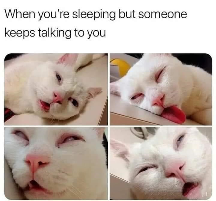 When you're sleeping but someone keeps talking to you