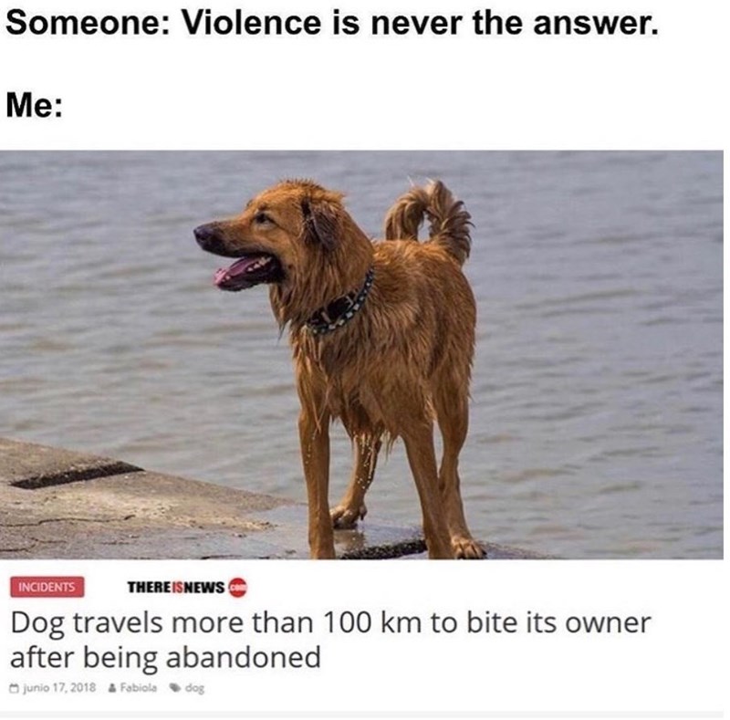 Someone: Violence is never the answer. Me: INCIDENTS THEREISNEWS Dog travels more than 100 km to bite its owner after being abandoned junio 17, 2018 & Fabiola dog