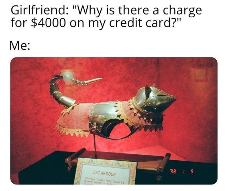 Girlfriend: "Why is there a charge for $4000 on my credit card?" Me: CAT ARMOUR Ju De Boer of Calgary, Alberta Canada, is a renowned authority on '98 9