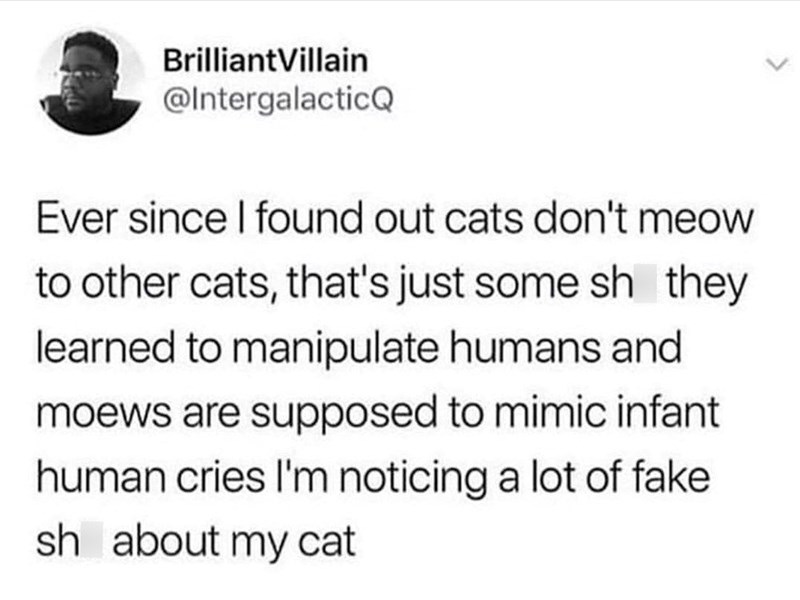 BrilliantVillain @IntergalacticQ Ever since I found out cats don't meow to other cats, that's just some sh they learned to manipulate humans and moews are supposed to mimic infant human cries I'm noticing a lot of fake sh about my cat