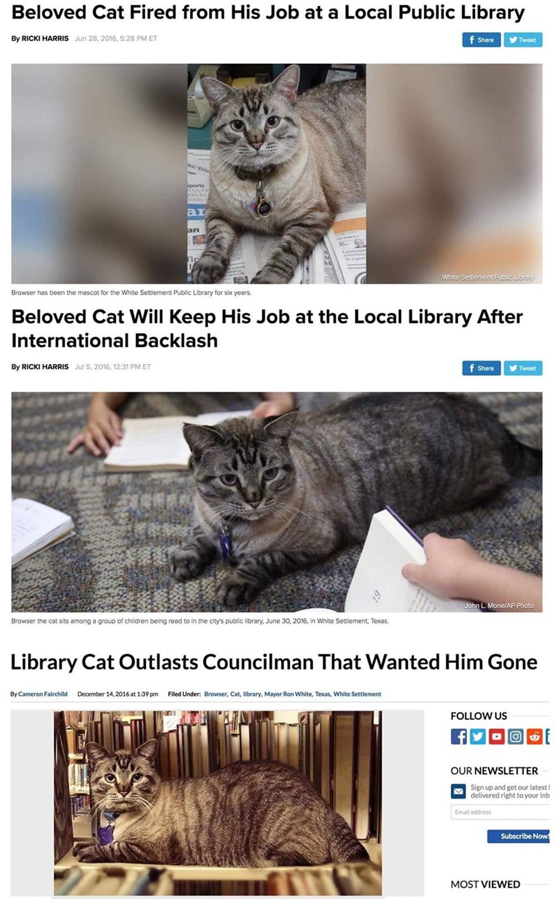 Beloved Cat Fired from His Job at a Local Public Library By RICKI HARRIS Jun 28, 2016, 5:28 PM ET f Share Tweet Ori sports CUS P oes for ctory t ar an fin White Settlement Public Library Browser has been the mascot for the White Settlement Public Library for six years. Beloved Cat Will Keep His Job at the Local Library After International Backlash By RICKI HARRIS Jul 5, 2016, 12:31 PM ET Browser the cat sits among a group of children being read to in the city's public library, June 30, 2016, in