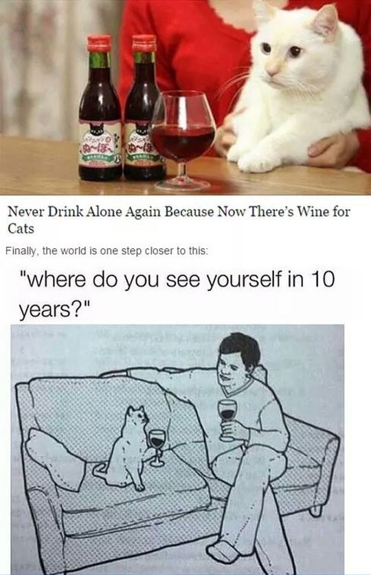 ほほ Never Drink Alone Again Because Now There's Wine for Cats Finally, the world is one step closer to this: "where do you see yourself in 10 years?"