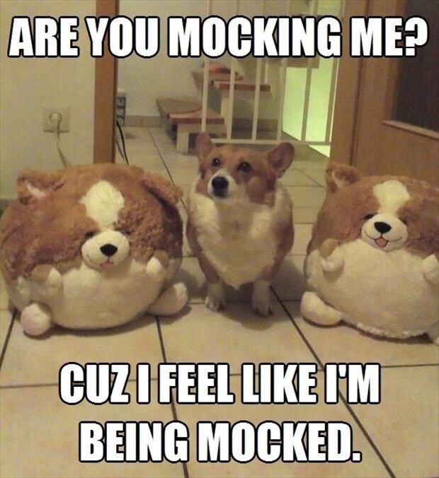 ARE YOU MOCKING ME? CUZ I FEEL LIKE I'M BEING MOCKED.