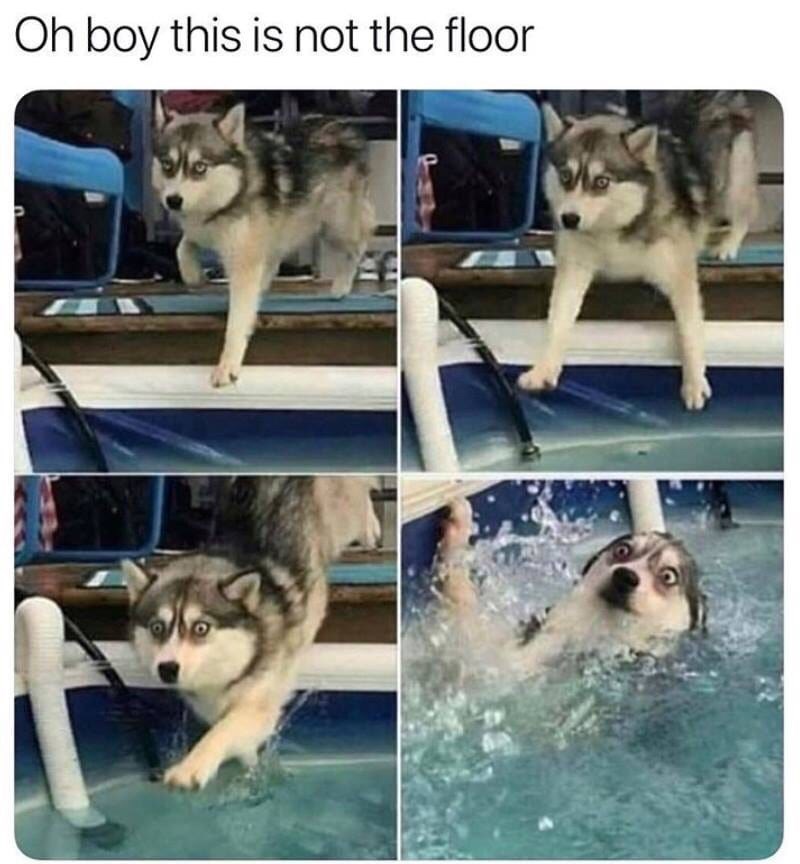 Oh boy this is not the floor