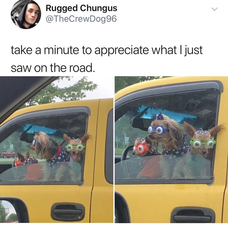 Rugged Chungus @TheCrewDog96 take a minute to appreciate what I just saw on the road.