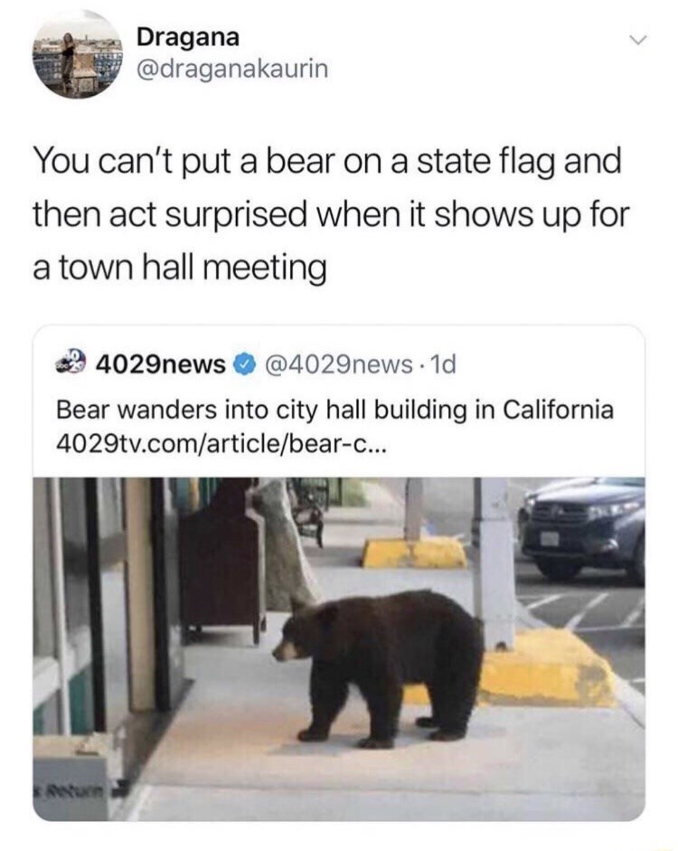 Dragana @draganakaurin You can't put a bear on a state flag and then act surprised when it shows up for a town hall meeting 4029news @4029news. 1d Bear wanders into city hall building in California 4029tv.com/article/bear-c... Return