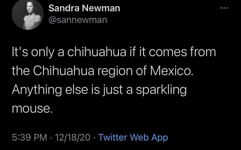 Sandra Newman @sannewman It's only a chihuahua if it comes from the Chihuahua region of Mexico. Anything else is just a sparkling mouse. • 5:39 PM 12/18/20 Twitter Web App