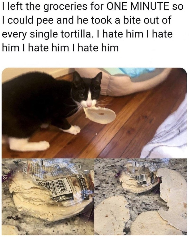 I left the groceries for ONE MINUTE so I could pee and he took a bite out of every single tortilla. I hate him I hate him I hate him I hate him 07151 URCHASE FLOUR PORTILLAS 800-600-8