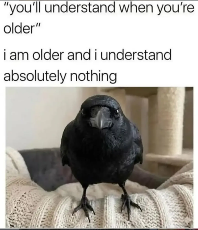 "you'll understand when you're older" i am older and i understand absolutely nothing