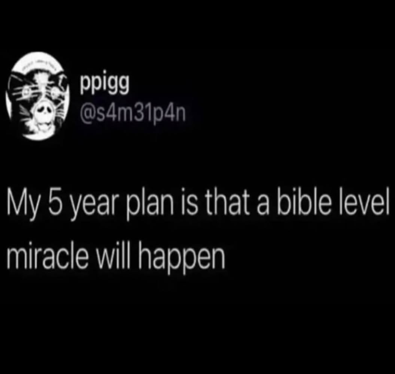 ppigg @s4m31p4n My 5 year plan is that a bible level miracle will happen