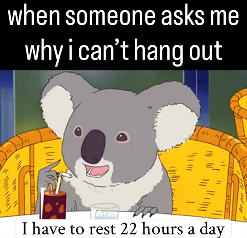 when someone asks me why i can't hang out I have to rest 22 hours a day