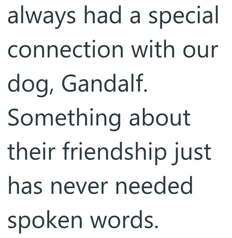always had a special connection with our dog, Gandalf. Something about their friendship just has never needed spoken words.