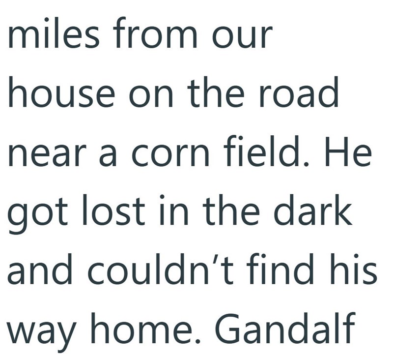 miles from our house on the road near a corn field. He got lost in the dark and couldn't find his way home. Gandalf