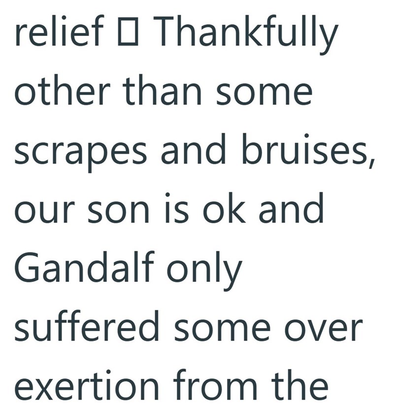 relief □ Thankfully other than some scrapes and bruises, our son is ok and Gandalf only suffered some over exertion from the