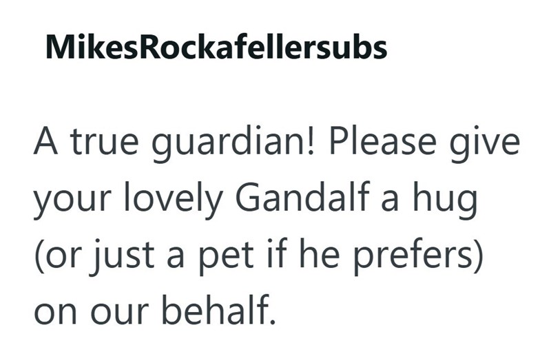 MikesRockafellersubs A true guardian! Please give your lovely Gandalf a hug (or just a pet if he prefers) on our behalf.