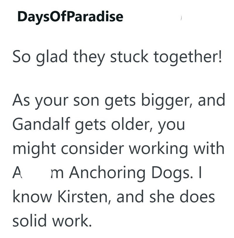 DaysOfParadise So glad they stuck together! As your son gets bigger, and Gandalf gets older, you might consider working with A m Anchoring Dogs. I know Kirsten, and she does solid work.