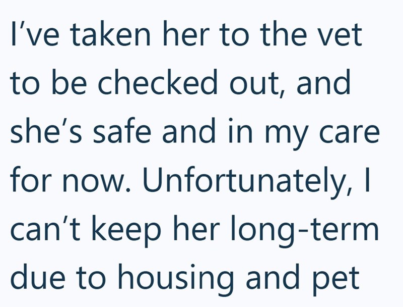 I've taken her to the vet to be checked out, and she's safe and in my care for now. Unfortunately, I can't keep her long-term due to housing and pet
