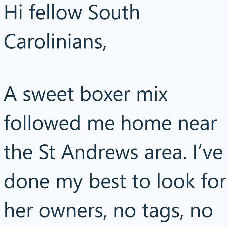 Hi fellow South Carolinians, A sweet boxer mix followed me home near the St Andrews area. I've done my best to look for her owners, no tags, no