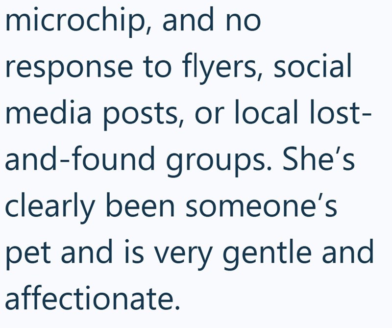 microchip, and no response to flyers, social media posts, or local lost- and-found groups. She's clearly been someone's pet and is very gentle and affectionate.