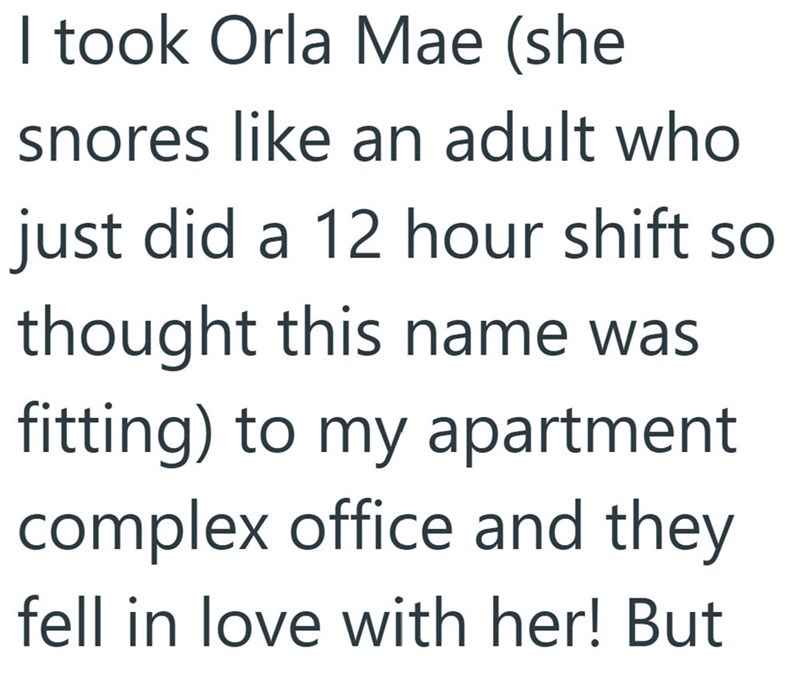 I took Orla Mae (she snores like an adult who just did a 12 hour shift so thought this name was fitting) to my apartment complex office and they fell in love with her! But