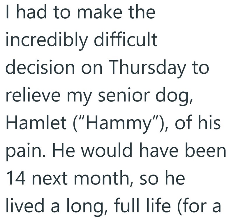 I had to make the incredibly difficult decision on Thursday to relieve my senior dog, Hamlet ("Hammy"), of his pain. He would have been 14 next month, so he lived a long, full life (for a